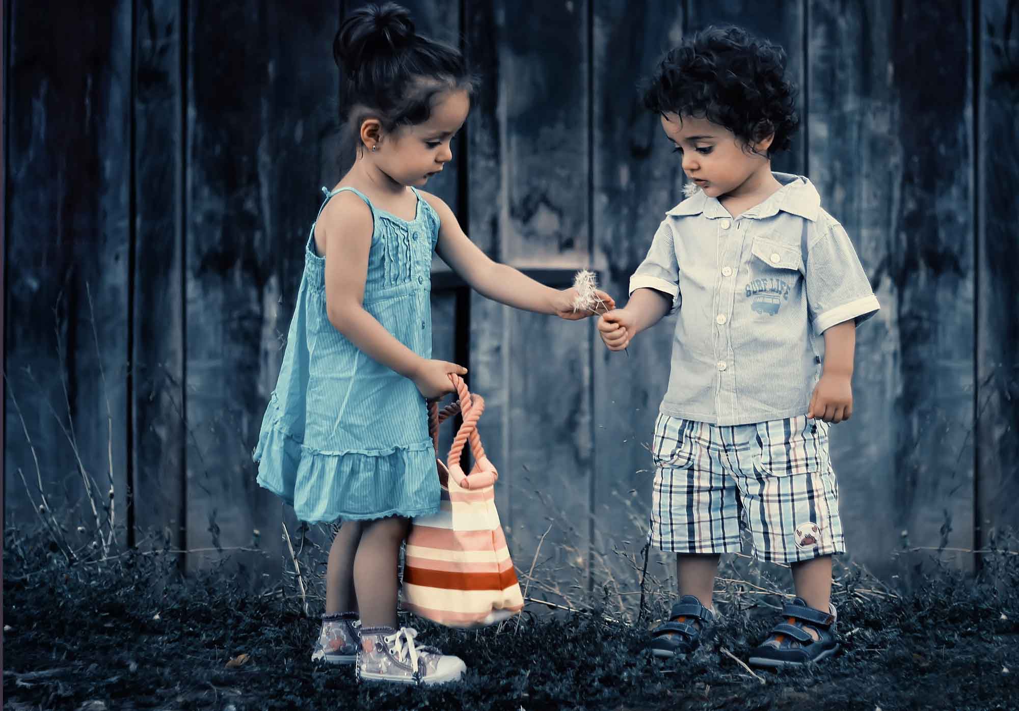 Psicologia, psicopedagogia i logopèdia